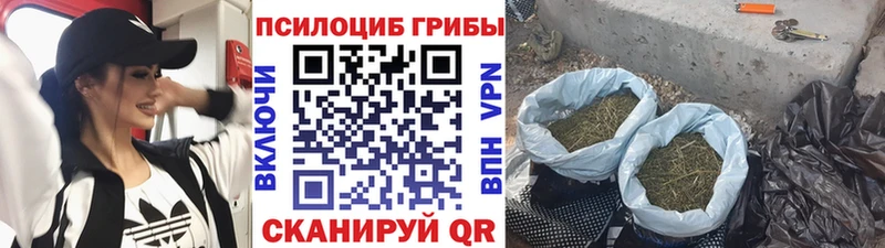 Галлюциногенные грибы прущие грибы  Верхнеуральск 